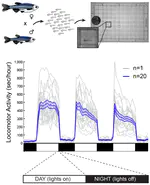 Identifying and characterising new sleep genes